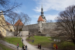 Tallin, fragment murów obronnych