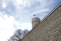 Tallin, fragment murów obronnych, w oddali wieża Herman