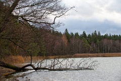 Jezioro Wigry, Piaski